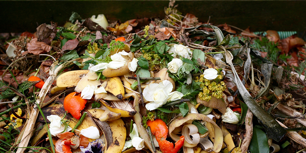 organic waste